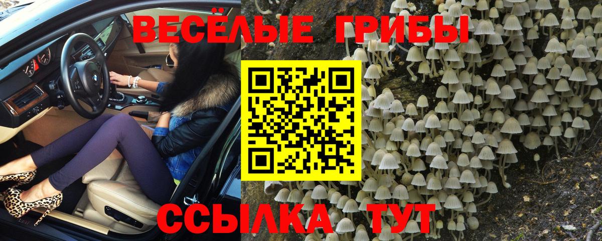 Псилоцибиновые грибы Cubensis  Вход с VPN  Миасс 